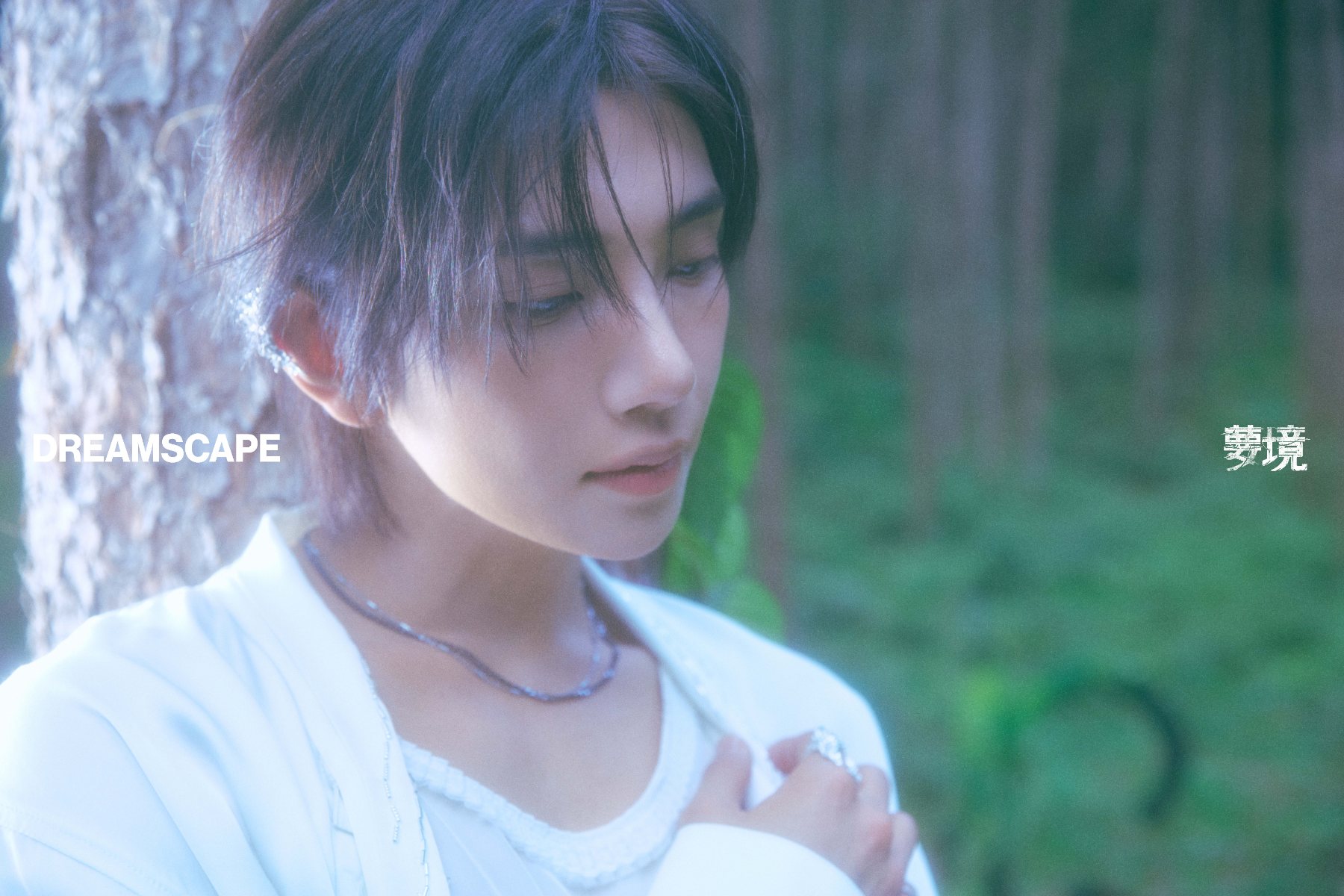 Joshua standing against a tree for 'DREAMSCAPE' promotional material.