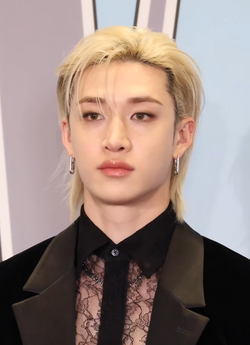 Bang Chan profile photo